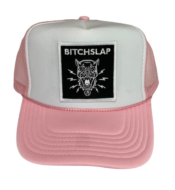 Matching Dog and Owner Trucker Hats in Pink